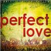 Perfect Love (Live)