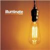 Illuminate